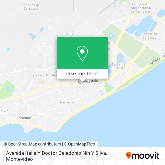 Avenida Italia Y Doctor Celedonio Nin Y Silva map