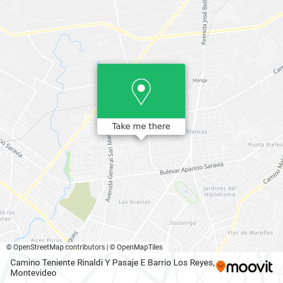 Camino Teniente Rinaldi Y Pasaje E Barrio Los Reyes map