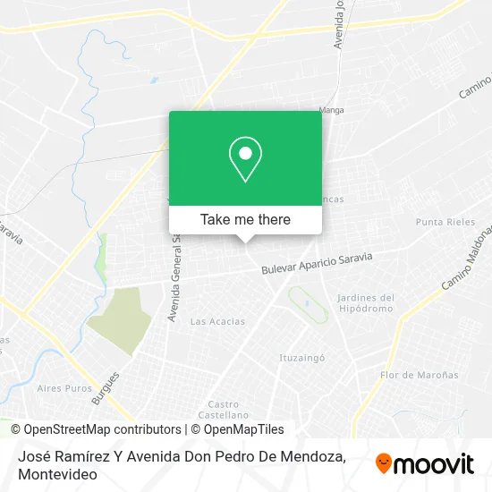 José Ramírez Y Avenida Don Pedro De Mendoza map