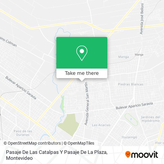 Pasaje De Las Catalpas Y Pasaje De La Plaza map