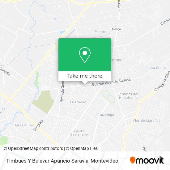 Timbues Y Bulevar Aparicio Saravia map