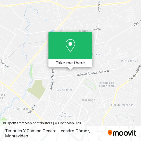 Timbues Y Camino General Leandro Gómez map