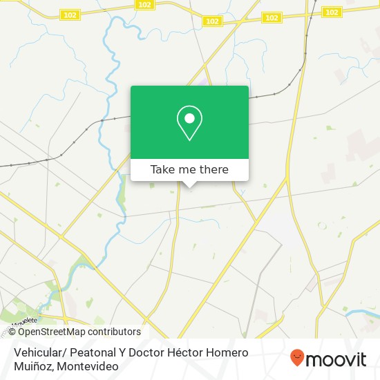 Vehicular/ Peatonal Y Doctor Héctor Homero Muiñoz map
