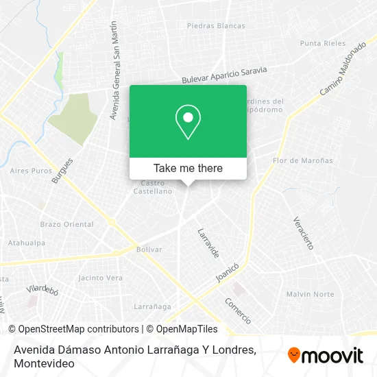 Avenida Dámaso Antonio Larrañaga Y Londres map