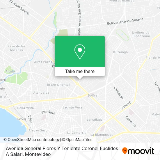 Avenida General Flores Y Teniente Coronel Euclides A Salari map