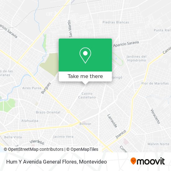 Hum Y Avenida General Flores map