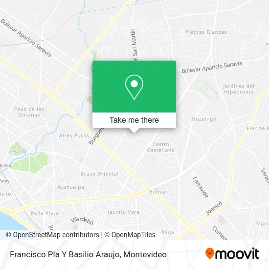 Francisco Pla Y Basilio Araujo map