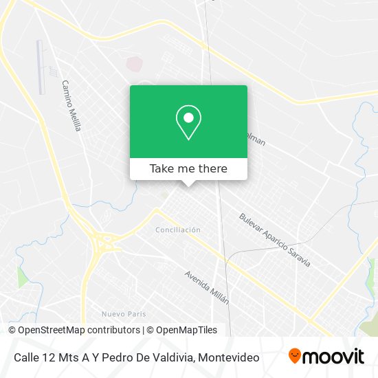 Calle 12 Mts A Y Pedro De Valdivia map