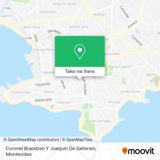 Coronel Brandzen Y Joaquín De Salterain map