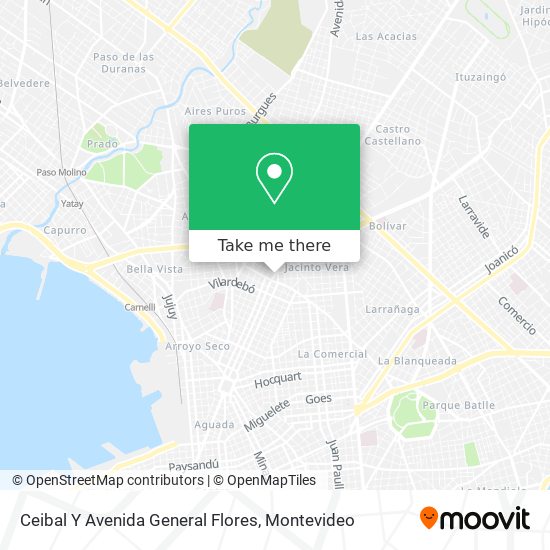 Ceibal Y Avenida General Flores map