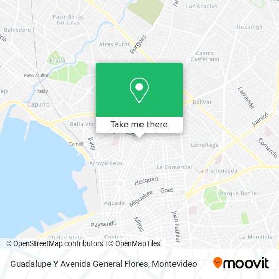 Guadalupe Y Avenida General Flores map