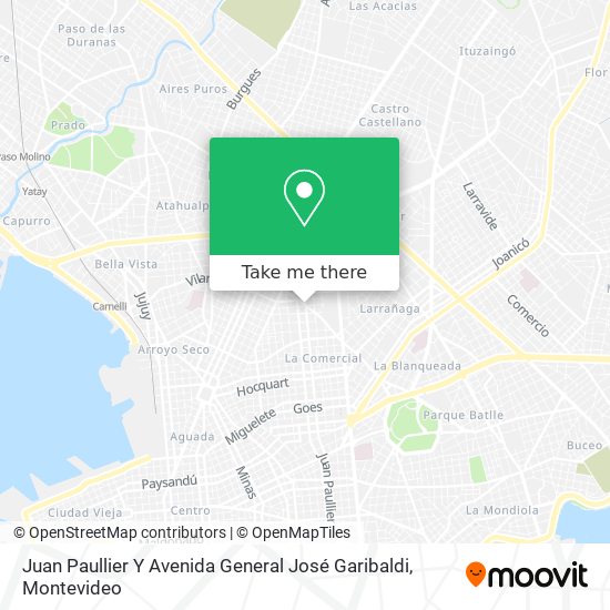 Juan Paullier Y Avenida General José Garibaldi map
