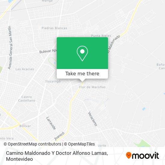 Camino Maldonado Y Doctor Alfonso Lamas map