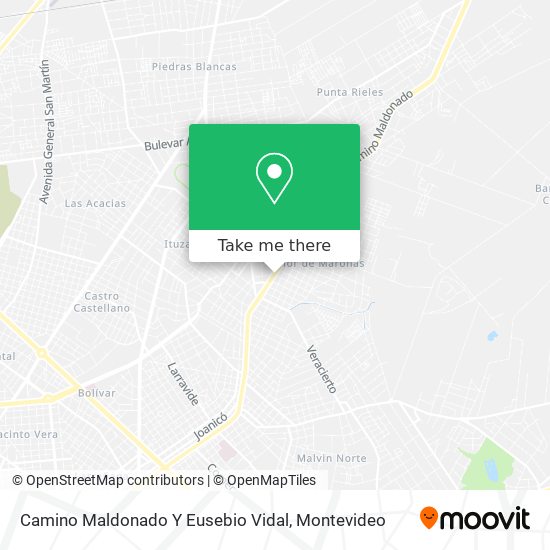 Camino Maldonado Y Eusebio Vidal map