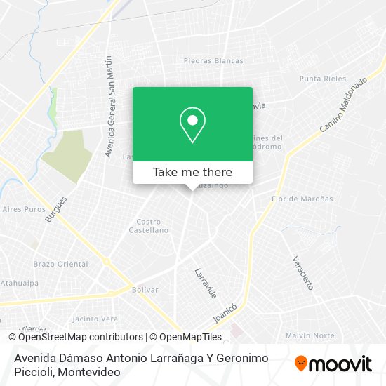 Avenida Dámaso Antonio Larrañaga Y Geronimo Piccioli map