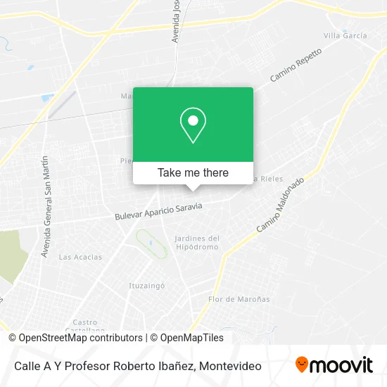 Mapa de Calle A Y Profesor Roberto Ibañez