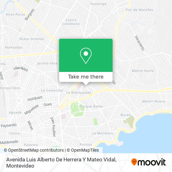 Avenida Luis Alberto De Herrera Y Mateo Vidal map