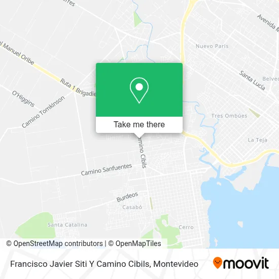Francisco Javier Siti Y Camino Cibils map
