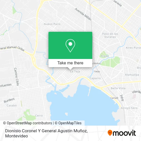 Mapa de Dionisio Coronel Y General Agustín Muñoz