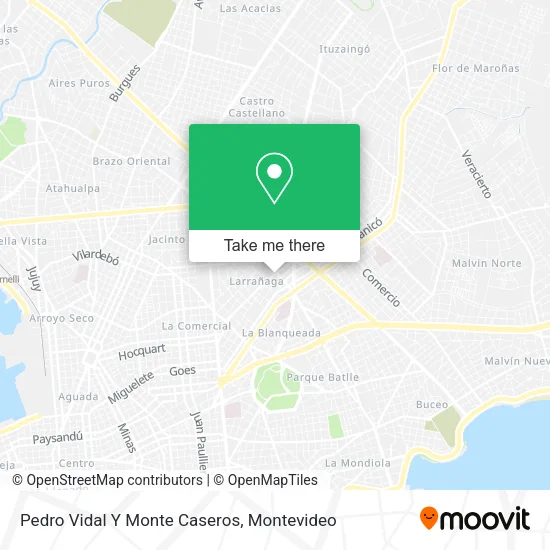 Pedro Vidal Y Monte Caseros map