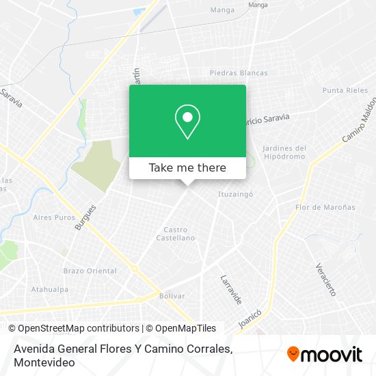 Avenida General Flores Y Camino Corrales map
