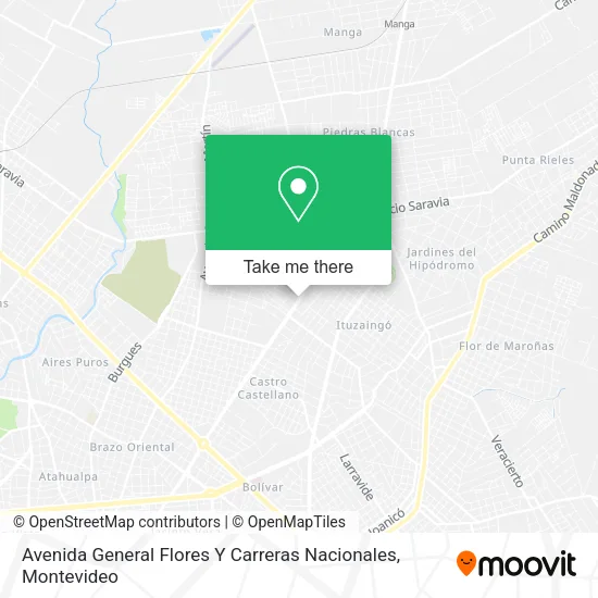 Avenida General Flores Y Carreras Nacionales map