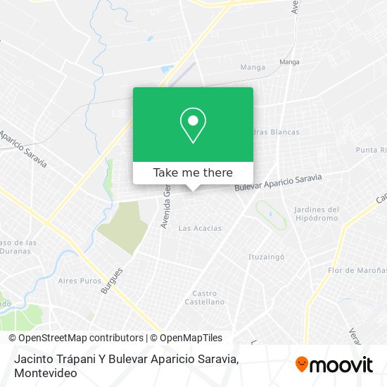Jacinto Trápani Y Bulevar Aparicio Saravia map