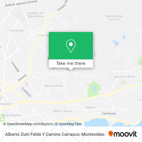 Alberto Zum Felde Y Camino Carrasco map