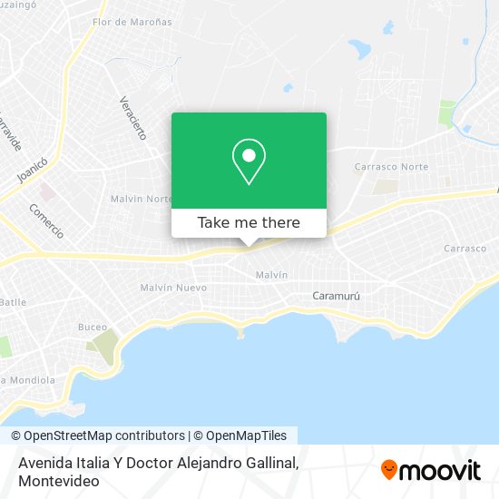 Avenida Italia Y Doctor Alejandro Gallinal map