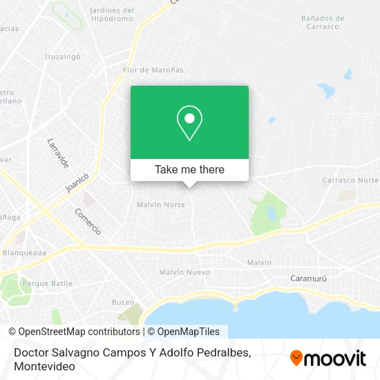 Mapa de Doctor Salvagno Campos Y Adolfo Pedralbes