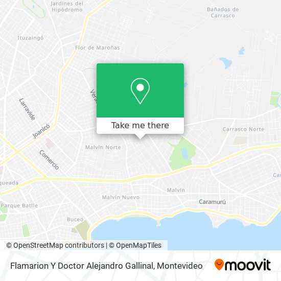 Flamarion Y Doctor Alejandro Gallinal map