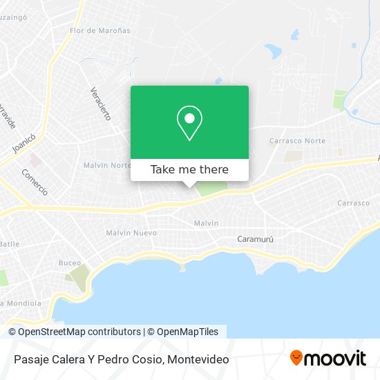 Pasaje Calera Y Pedro Cosio map