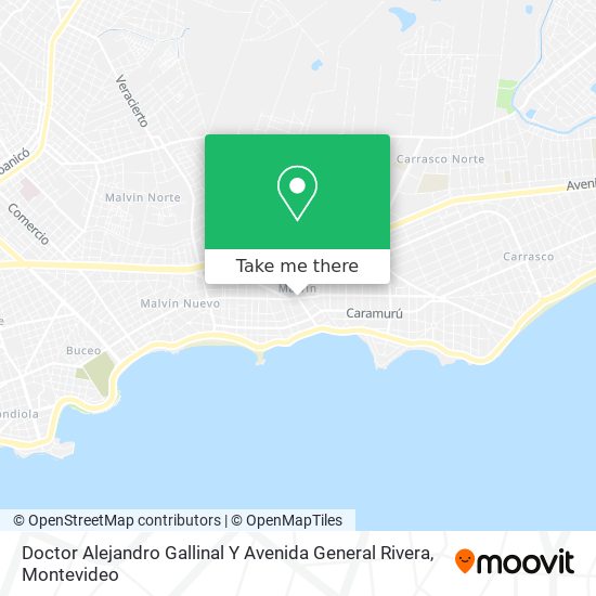 Doctor Alejandro Gallinal Y Avenida General Rivera map