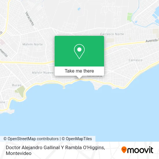 Doctor Alejandro Gallinal Y Rambla O'Higgins map