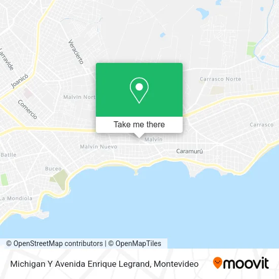 Mapa de Michigan Y Avenida Enrique Legrand