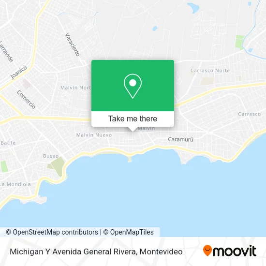 Mapa de Michigan Y Avenida General Rivera