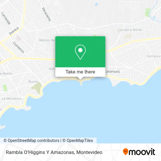 Rambla O'Higgins Y Amazonas map