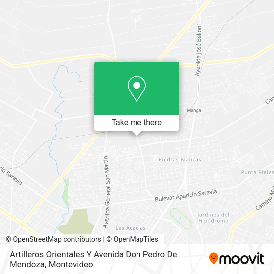 Artilleros Orientales Y Avenida Don Pedro De Mendoza map