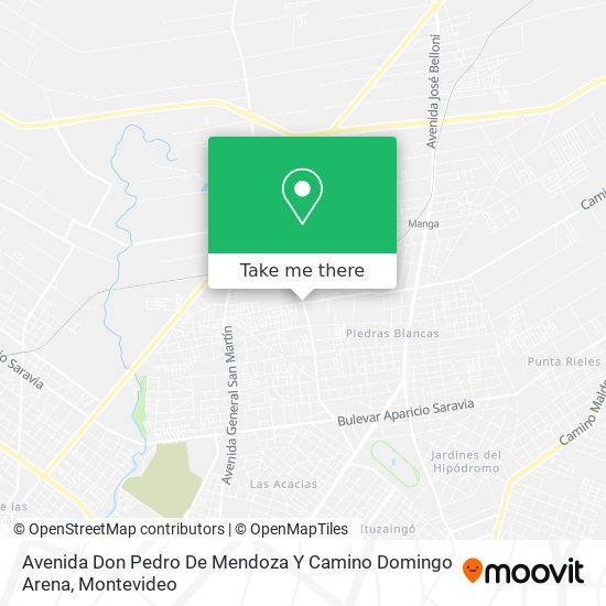 Avenida Don Pedro De Mendoza Y Camino Domingo Arena map