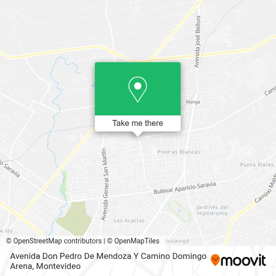 Avenida Don Pedro De Mendoza Y Camino Domingo Arena map