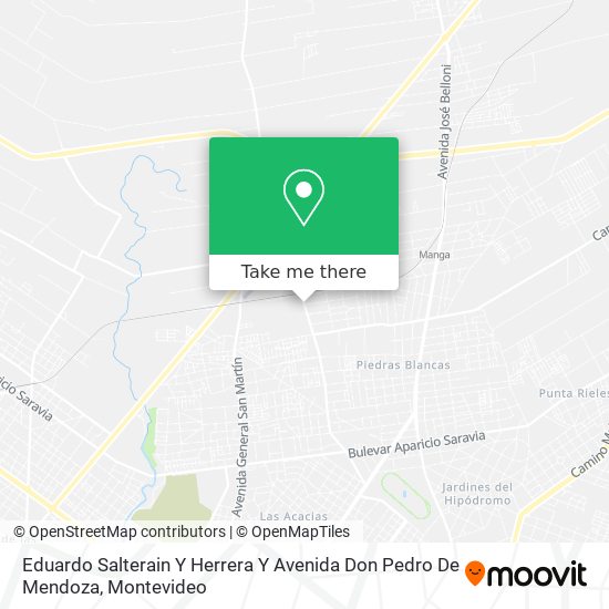 Eduardo Salterain Y Herrera Y Avenida Don Pedro De Mendoza map