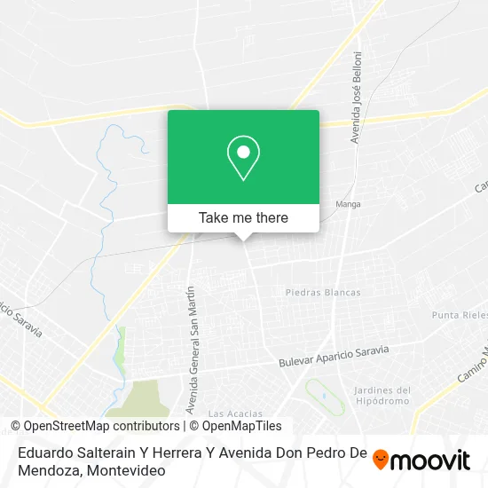 Eduardo Salterain Y Herrera Y Avenida Don Pedro De Mendoza map