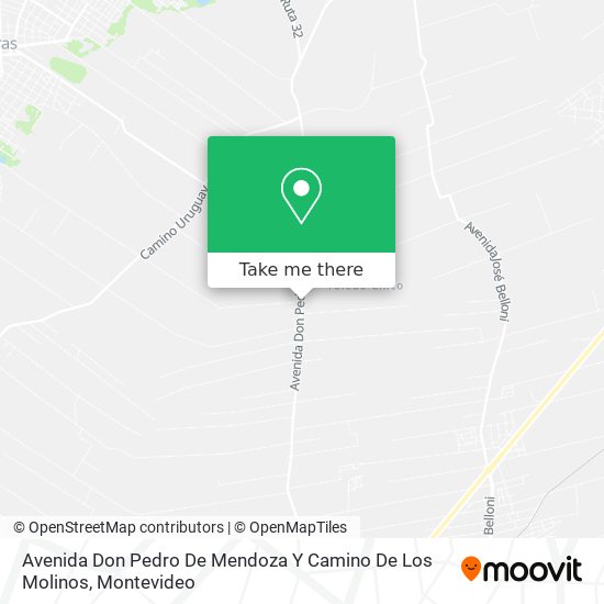 Avenida Don Pedro De Mendoza Y Camino De Los Molinos map