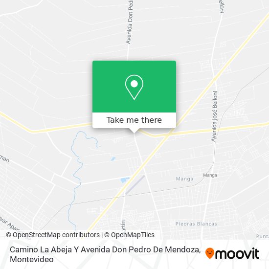 Camino La Abeja Y Avenida Don Pedro De Mendoza map