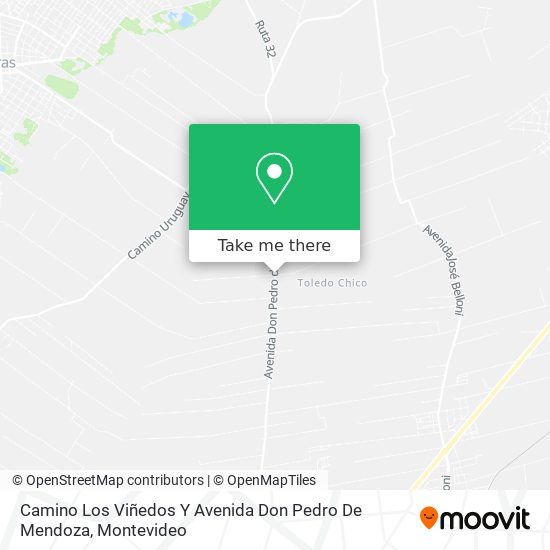 Camino Los Viñedos Y Avenida Don Pedro De Mendoza map