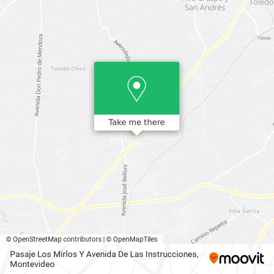 Pasaje Los Mirlos Y Avenida De Las Instrucciones map