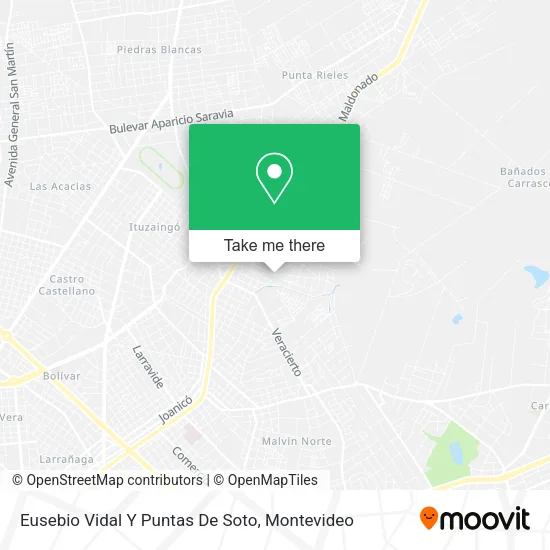 Eusebio Vidal Y Puntas De Soto map