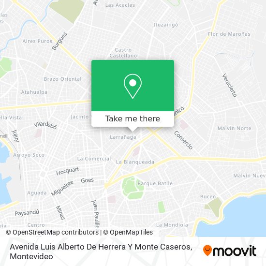 Avenida Luis Alberto De Herrera Y Monte Caseros map