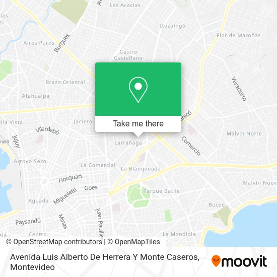 Mapa de Avenida Luis Alberto De Herrera Y Monte Caseros