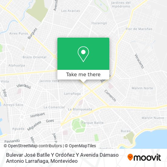 Bulevar José Batlle Y Ordóñez Y Avenida Dámaso Antonio Larrañaga map